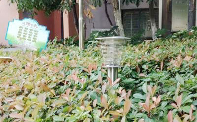 MZ05醫(yī)院戶外滅蚊燈 MZ05醫(yī)院戶外滅蚊燈