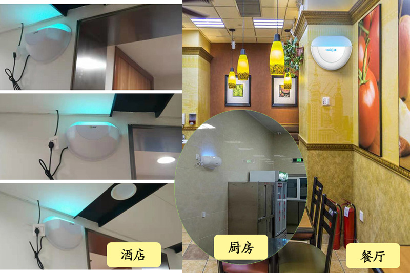 室內(nèi)滅蠅燈安裝高度標準規(guī)定 室內(nèi)滅蠅燈安裝高度標準規(guī)定
