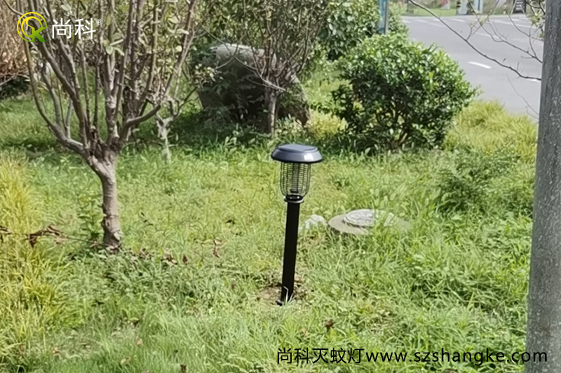 浙江嘉興無(wú)蚊村的秘密，太陽(yáng)能滅蚊燈是亮點(diǎn)